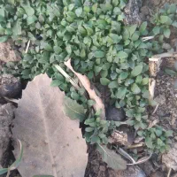 زیر زمین قدیمی