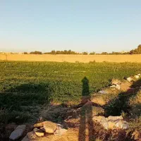 زمین کشاورزی در کریم آباد نزدیک بافت شهری|فروش دفتر صنعتی، کشاورزی، تجاری|مشهد, کریم آباد|دیوار