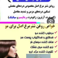 کهره بره گوسفندبزه گاوگوساله بلدرچین|حیوانات مزرعه|یاسوج, |دیوار