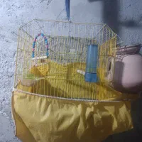 قفس پرنده