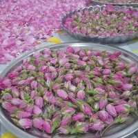 فروش محصولات محلی