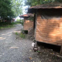 تجهیزات کسب وکار|عمدهفروشی|رودسر, |دیوار