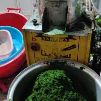 سبزی خردکن|خردکن، آسیاب، غذاساز|اهواز, کوی فرهنگیان ۱|دیوار