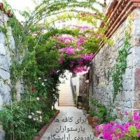 گل کاری وباغبانی|خدمات باغبانی و درختکاری|قم, بلوار امین و ساحلی|دیوار