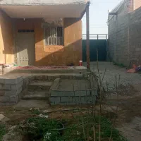 ساعتی روزانه