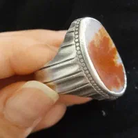 انگشتر شجر پاییزی