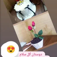 شیرینی و کیک خانگی|خوردنی و آشامیدنی|کوهسار (البرز), |دیوار