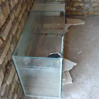 آکواریوم ماهی