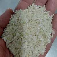 برنج محلی فیروز ابادی