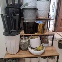 پایه گل|گل و گیاه طبیعی|مشهد, جاهد شهر|دیوار