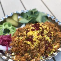 نیروساده شهرستانی.پیک موتوری جهت رستوران