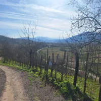 زمین روستایی به مساحت ۱۰۰۰ متر|فروش زمین و ملک کلنگی|توتکابن, |دیوار