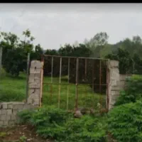 با ۱۵۰ میلیون زمین بخر/مازندران