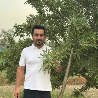 فروش نهال بادام تونو|خدمات باغبانی و درختکاری|سامان, |دیوار