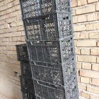 سبد میوه