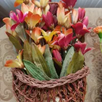 وسایل منزل|حراج|قزوین, |دیوار