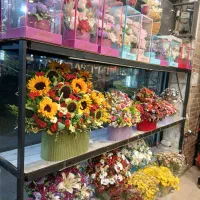 گل ارایی تاج گل ترحیم دسته گل طبیعی و مصنوعی سبدگل|خدمات پذیرایی، مراسم|کرج, گلشهر|دیوار