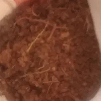 کشمش بی دانه اصل|عمدهفروشی|مشکان, |دیوار