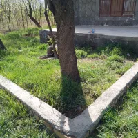 باغ ویلا