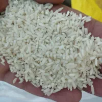 فروش برنج طارم هاشمی بوجاری|خوردنی و آشامیدنی|ساری, |دیوار