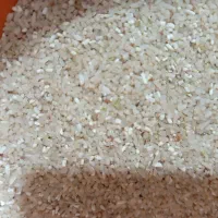 لوبیا عدس ماشک نخود برنج وخرده