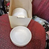 حدود 100 عدد کاسه سوپ رستورانی زرین