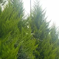 سرایداری و نظافت و ...