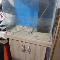 آکواریوم سامپ دار