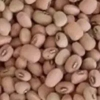 لوبیا دست چین