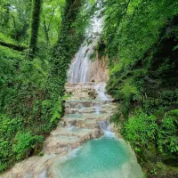 اجاره-یک-قطعه-زمین-جهت-احداث-گلخانه
