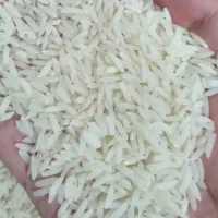 برنج هاشمی