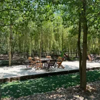 آینده خودتو با انتخاب مجموعه ما تضمین کن|فروش خانه و ویلا|مبارکه, |دیوار