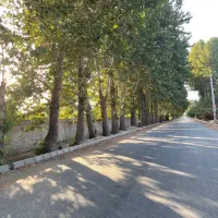 ۵۰۰مترزمین(سندتکبرگ)کردان باغ ویلا تهراندشت باغچه|فروش زمین و ملک کلنگی|کرج, فاز ۲ مهرشهر|دیوار