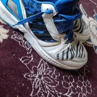 کتونی‌ ادیداس