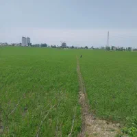 ۲۰۰۰متر زمین کشاورزی در امیرآباد ایزدشهر|اجارهٔ دفتر صنعتی، کشاورزی، تجاری|ایزدشهر, |دیوار