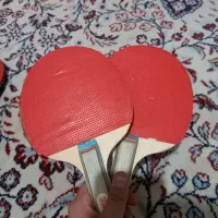 تعدادی راکت پینگ پنگ (قیمت توافقی)|ورزش‌های توپی|شیراز, لاله|دیوار