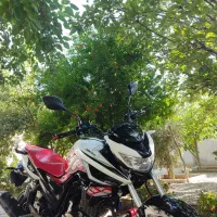 زونتس n2. 230