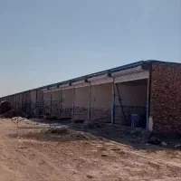 فروش ویژه مغازه های مکانیکی شهرک صنعتی|فروش مغازه و غرفه|تربت جام, معدآباد|دیوار