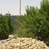 باغ نیمه کاره 530 متری برق کنتور و سند و چاه|فروش زمین و ملک کلنگی|اصفهان, براآن شمالی|دیوار