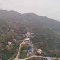 ،،کاه خورد و خوش خوراک