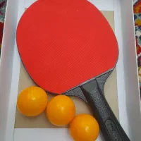 دسته پینگ پنگ|ورزشهای توپی|اصفهان, ابر|دیوار