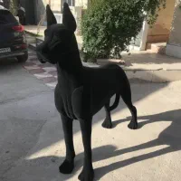 سگ باکستر و یگ دوبرمن