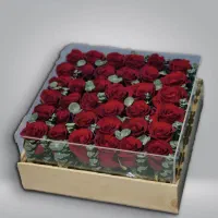 باکس ترند پلکسی گل رز هلندی طبیعی