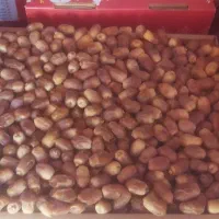 قصب|خوردنی و آشامیدنی|بوشکان, |دیوار