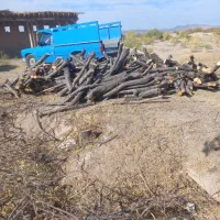 خرید چوب نقدی