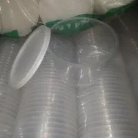 ظرف یکبار مصرف|ظروف نگهدارنده، پلاستیکی، یک‌بارمصرف|رشت, شهرک قدس|دیوار