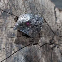 وسایل قدیمی و جدید دیگر هم موجود هست|کلکسیون اشیاء عتیقه|شیراز, کوشک بیدک|دیوار