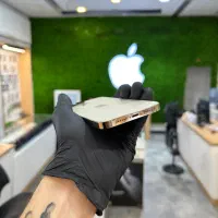 اپل iPhone 13 Pro Max با حافظهٔ ۲۵۶ گیگابایت|موبایل|تهران, شیخ هادی|دیوار