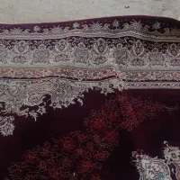 فرش 9متری نخی|فرش|شیراز, شاپورجان|دیوار