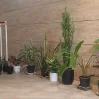 گل های طبیعی همرا استند گل